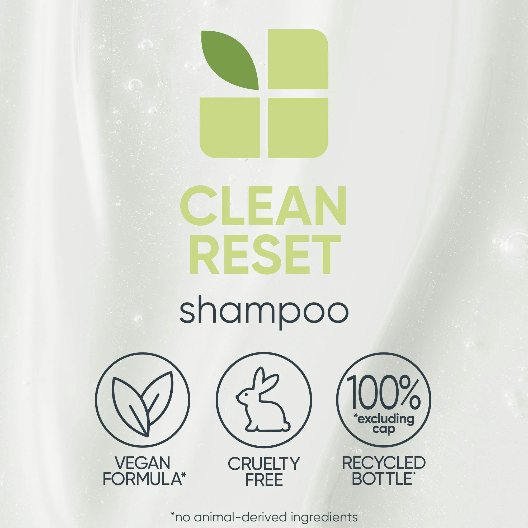 Biolage Scalpsync Clean Reset Normalizing Shampoo 400ml