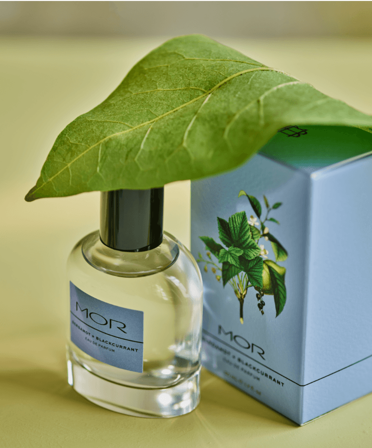 Parfum blackcurrant 2025